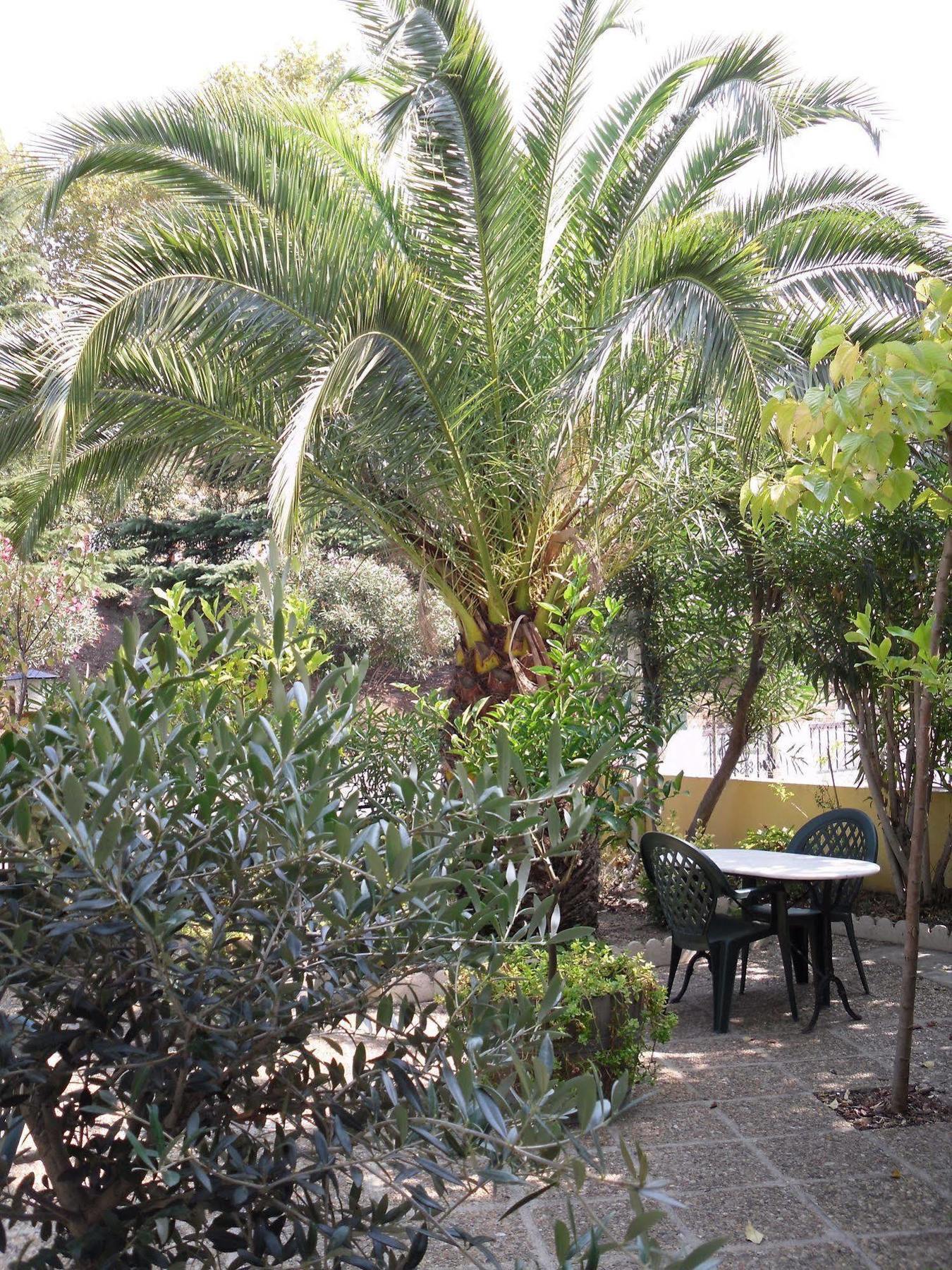Hôtel le Nid Argelès-sur-Mer Exterior foto
